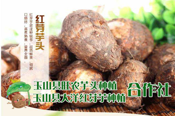 合作社简介